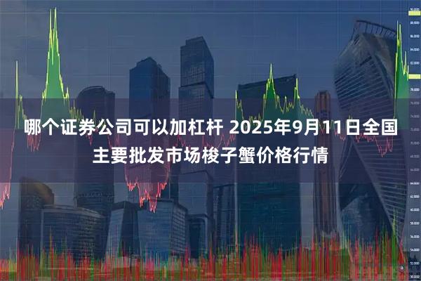 哪个证券公司可以加杠杆 2025年9月11日全国主要批发市场梭子蟹价格行情