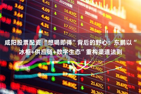 咸阳股票配资 “想喝即得”背后的野心：东鹏以“冰柜+供应链+数字生态”重构渠道法则