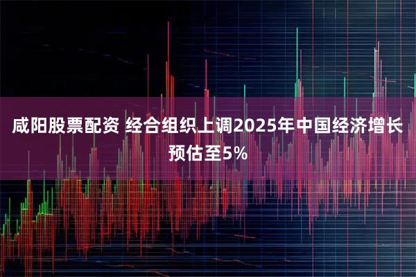 咸阳股票配资 经合组织上调2025年中国经济增长预估至5%