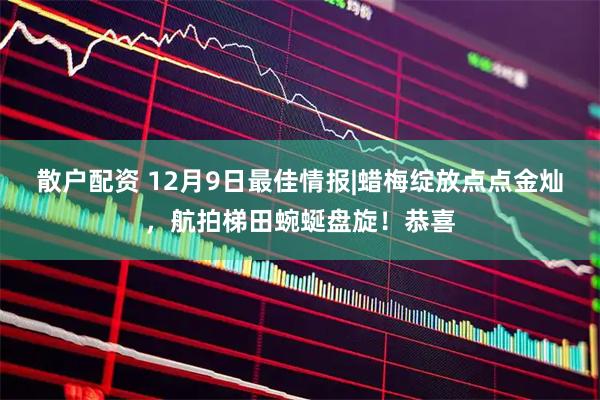 散户配资 12月9日最佳情报|蜡梅绽放点点金灿，航拍梯田蜿蜒盘旋！恭喜