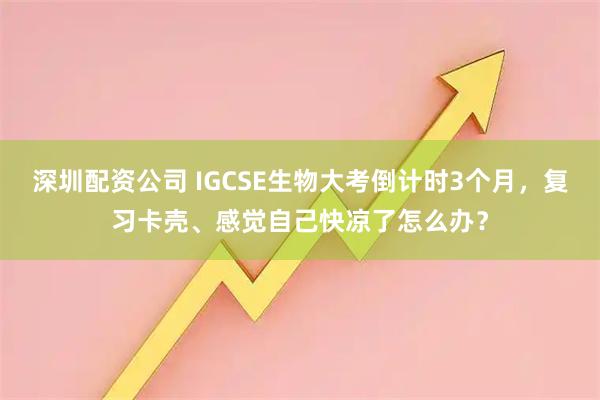 深圳配资公司 IGCSE生物大考倒计时3个月，复习卡壳、感觉自己快凉了怎么办？