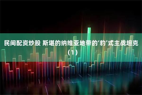 民间配资炒股 斯堪的纳维亚地带的‘豹’式主战坦克（1）