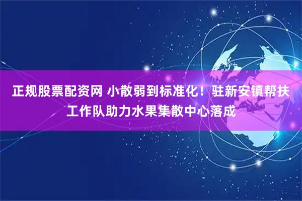 正规股票配资网 小散弱到标准化！驻新安镇帮扶工作队助力水果集散中心落成