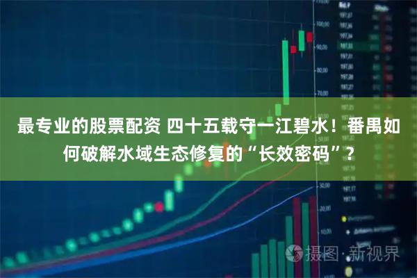 最专业的股票配资 四十五载守一江碧水！番禺如何破解水域生态修复的“长效密码”？